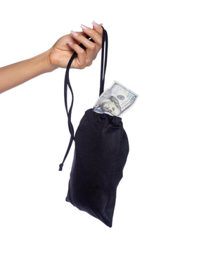 spandex-iridescent-money-bag