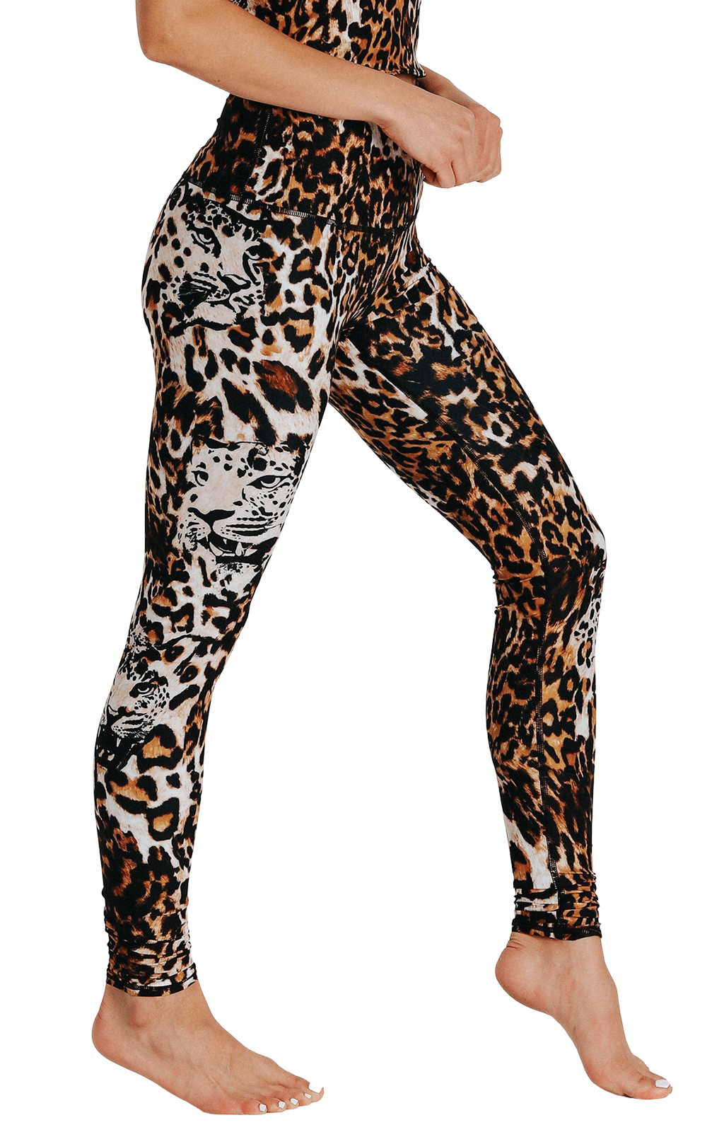 YD Legging - Wildcat