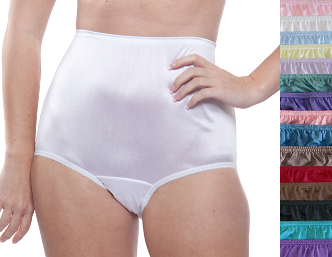 Nylon Brief Panty (Style 331/Plain Jane) Surprise Color 10 Pack