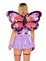 butterfly-wings
