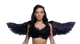 Stunning Feathered Wings