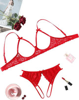 Forbidden Desire Cutout Lace Lingerie Set