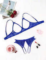 Forbidden Desire Cutout Lace Lingerie Set