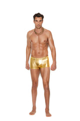 Vincent Men's Brief