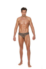 Alexander Men's Brief