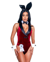 playboy-smoking-lounge-bunny